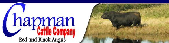 Chapman Cattle Company