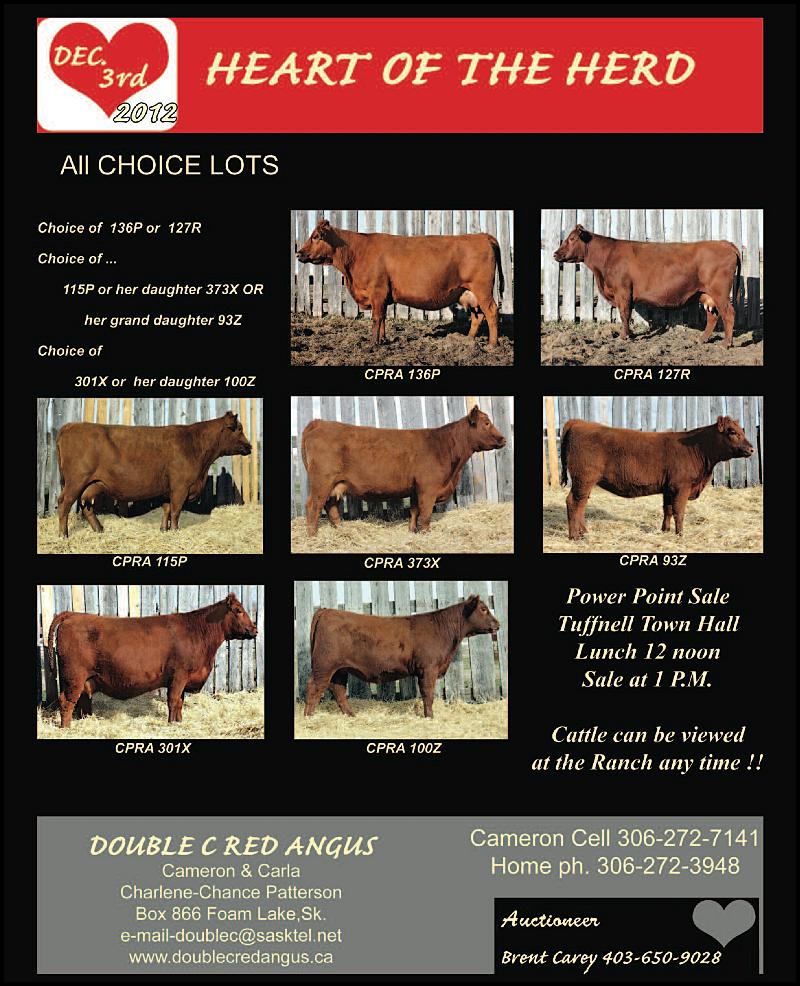 Double C Red Angus