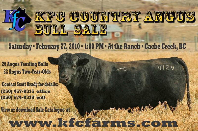 KFC Country Bull Sale