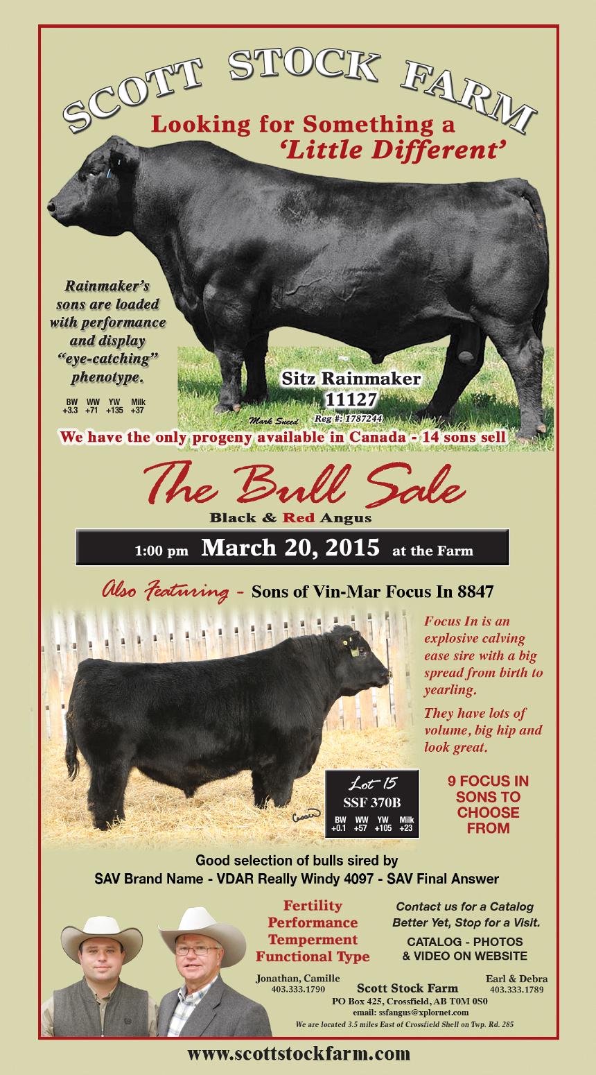 SSF Bull Sale