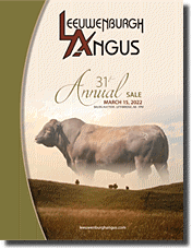 AngusWebMail e-Catalogue 